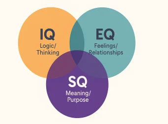 IQ EQ And SQ